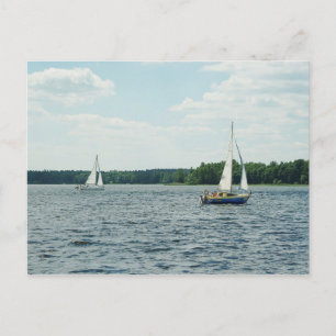 Sailboats Post Card