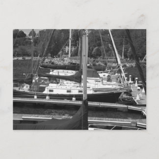 Sailboats Postcard