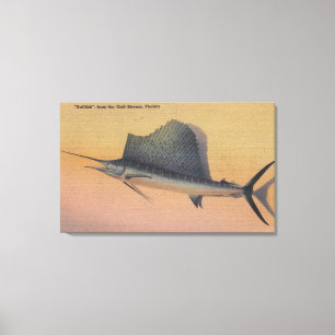 Sailfish from Gulf Stream, FloridaFlorida Canvas Print