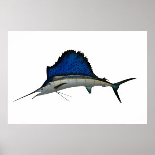 Sailfish Poster