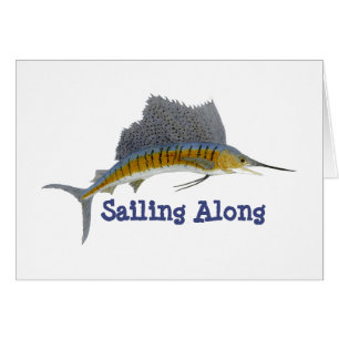 Sailfish- Sailing Along