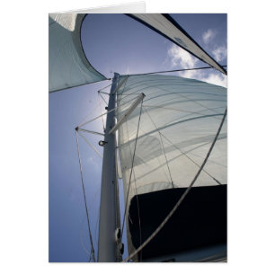 Sailing