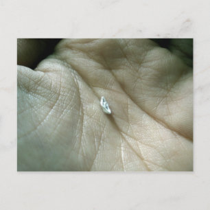 Sailing along the Lifeline Postcard