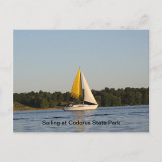 Sailing at Codorus Postcard