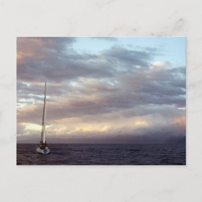 Sailing in Hawaii I Postcard (Front)