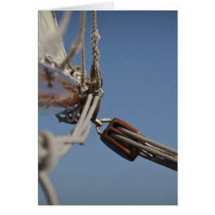 Sailing Jib