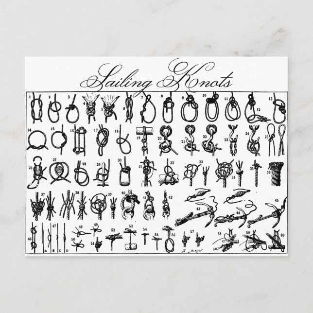 Sailing Knots Postcard (Front)