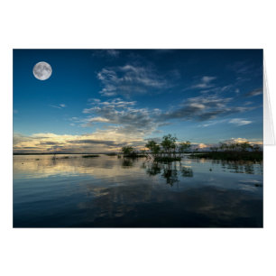 Sailing Near Iquitos
