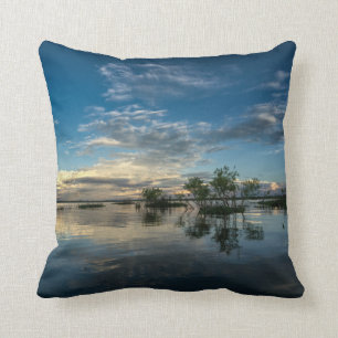 Sailing Near Iquitos Cushion