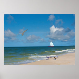 Sailing on the Gulf of Mexico Print