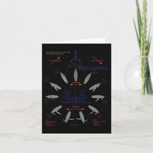 Sailing Points Of Sail Boating Anchor Sailboat Sai Card