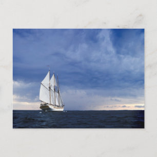 Sailing Ship On The Baltic Sea Postcard