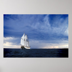 Sailing Ship On The Baltic Sea Poster