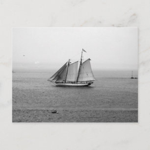 Sailing Ship Postcard