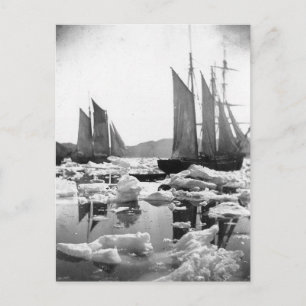 Sailing Ships in an Ice Field - 1869 Photo Postcard