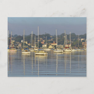 Sailing Ships Postcard