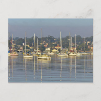 Sailing Ships Postcard