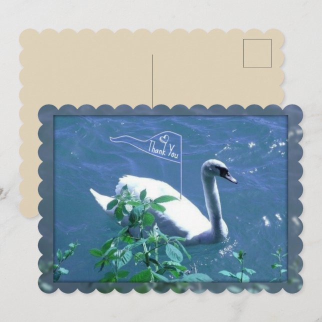 Sailing Swan Thank You Card (Front/Back)