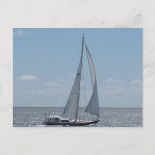 Sailing the Caribbean Postcard