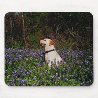 Sailor in the bluebonnets mousepad
