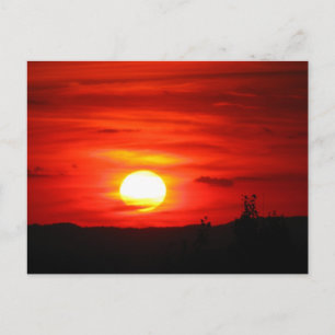 Sailor's Delight Postcard