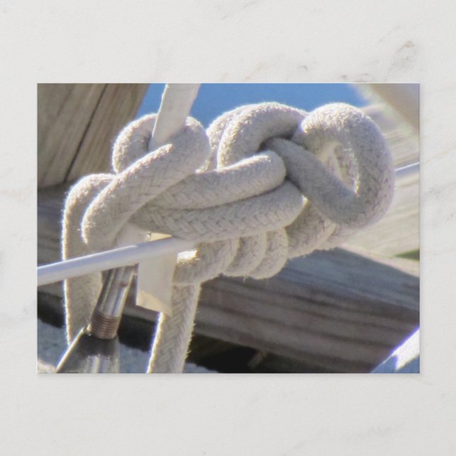Sailor's Knot Postcard (Front)