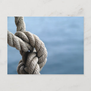 Sailor'S Knot Postcard