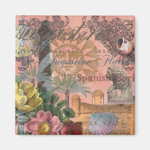 saint augustine florida travel antique art magnet