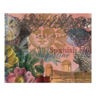 saint augustine florida travel antique art poster
