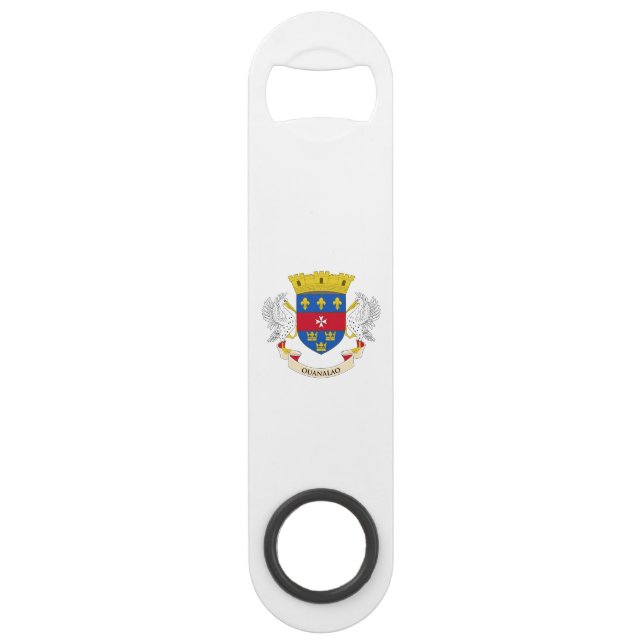 Saint Barthélemy Flag (Front)