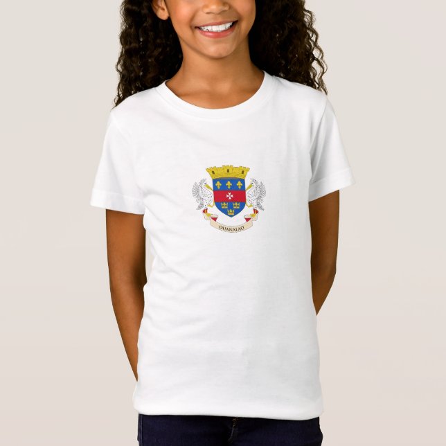Saint Barthélemy Flag T-Shirt (Front)