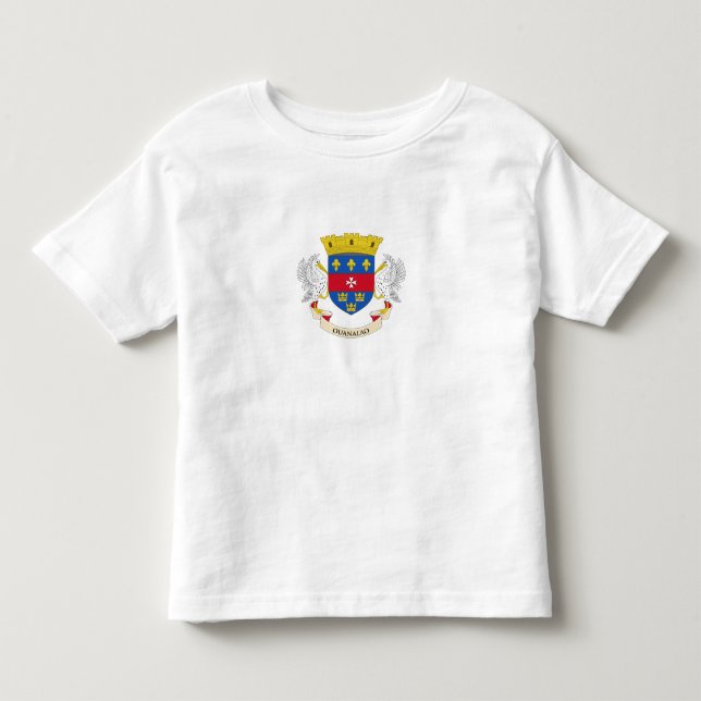 Saint Barthélemy Flag Toddler T-Shirt (Front)