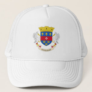 Saint Barthélemy Flag Trucker Hat