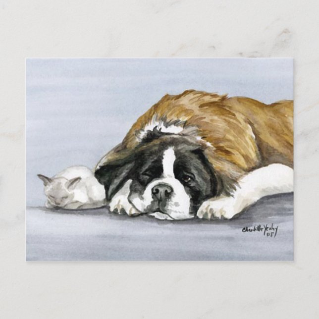 Saint Bernard and Kitten Dog Art Postcard (Front)