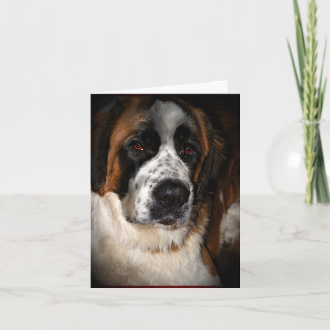 Saint Bernard Cards,customisable Thank You Card (Front)