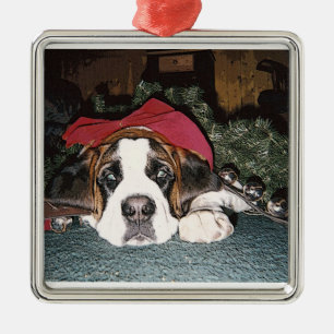 Saint Bernard Christmas Ornament
