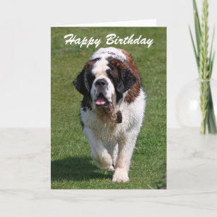 Saint Bernard Birthday Cards Zazzle Uk