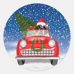 Saint Bernard Dog Driving Car In Snow Christmas Classic Round Sticker