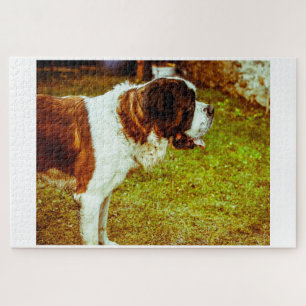 Saint Bernard Dog Jigsaws. Jigsaw Puzzle