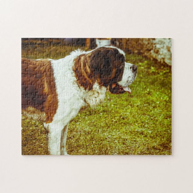 Saint Bernard Dog Jigsaws. Jigsaw Puzzle (Horizontal)