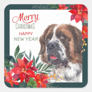 Saint Bernard Dog Poinsettia Border Christmas Square Sticker
