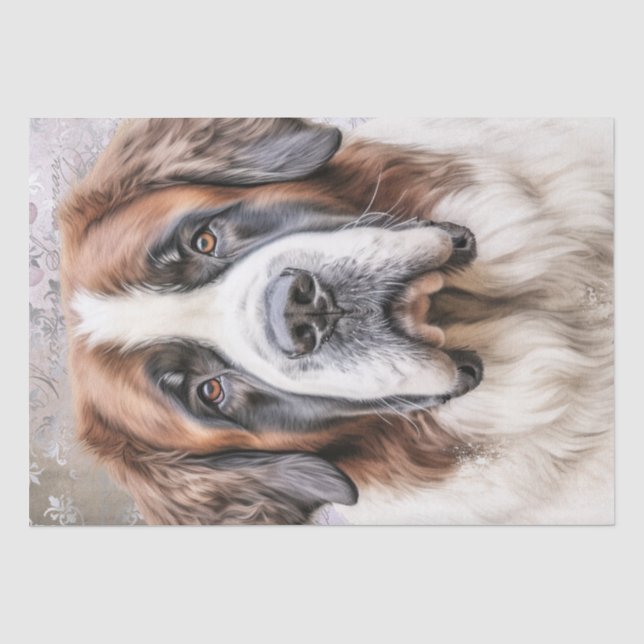 Saint Bernard Dog Tissue Paper (Front)