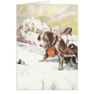 Saint Bernard Dog to the Rescue