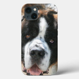 Saint Bernard Face iPhone 13 Case