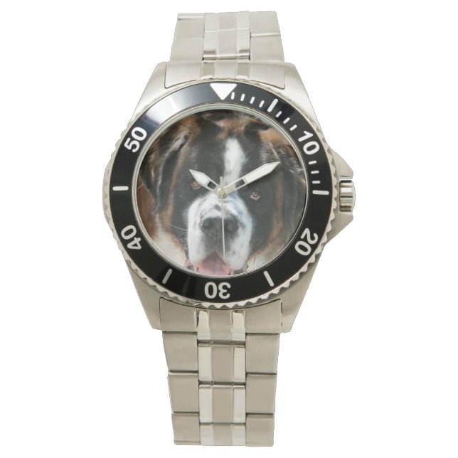 Saint Bernard Face Watch (Front)