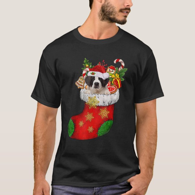 Saint Bernard In Sock Christmas Santa Hat Xmas Dog T-Shirt (Front)