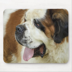saint bernard mouse pad
