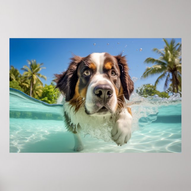 Saint Bernard Pet Dog Animal Fun Playing Poster (Front)