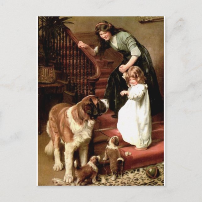 saint bernard puppies dog mother girl Elsley Postcard (Front)