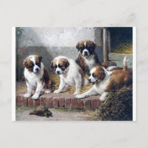 Saint Bernard puppies turtle cute painting dogs Postcard